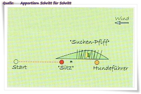 auf der stelle suchen 2rahmen