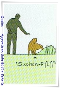 auf der stelle suchen 3rahmen