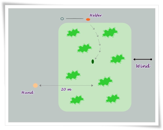 suchengebiet mit Bewuchs und windrichtung (gegenwind)+hund