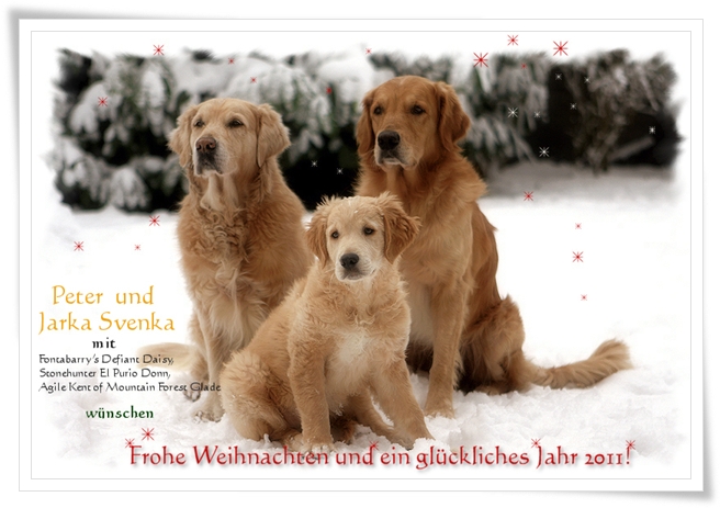 weihnacht_2010_ram3bklein