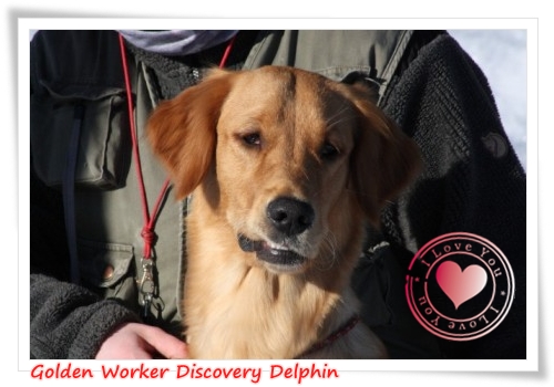 fienemauskleinrahmen