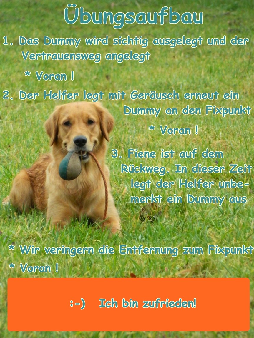 Übungsaufbau4