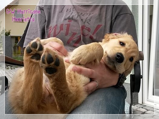 10429218_790559087633014_2419865563766949923_n