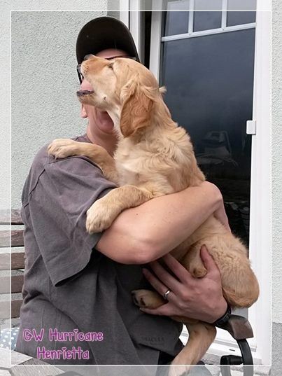 10644426_790559090966347_4621468902929534003_n