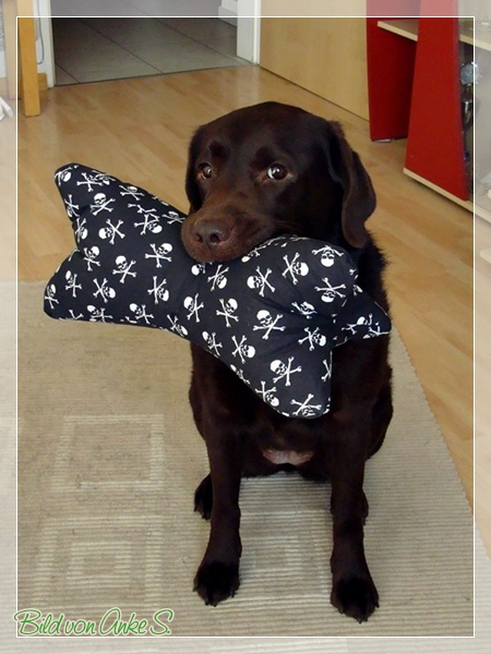 11057821_891894034166185_1900666155874048075_n