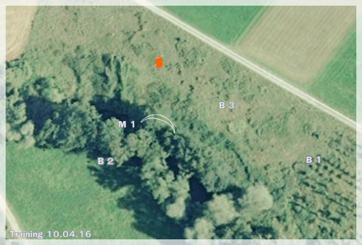 Aufgabe 2 Glee_Fiene