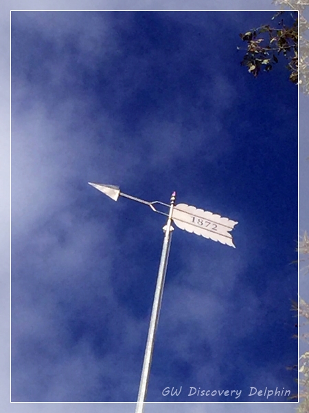 EB727EAC-BD74-4985-B9B4-5D494D3C0B02_image