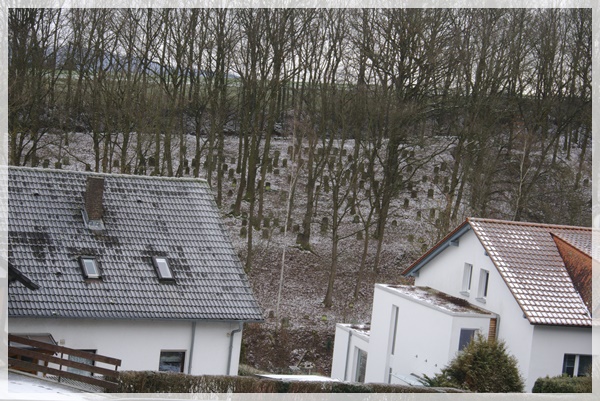 Developed using darktable 2.6.0