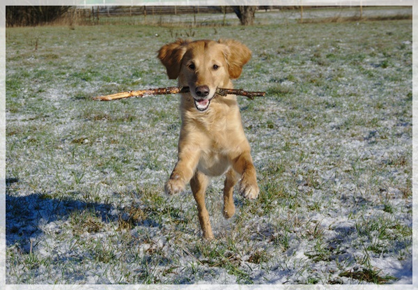 Developed using darktable 2.6.0