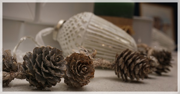 2019_01_10_fenster_b