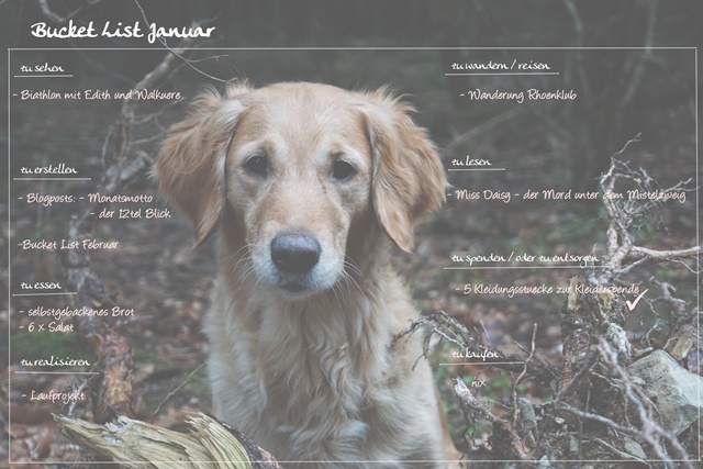 bucket_list_januar_1