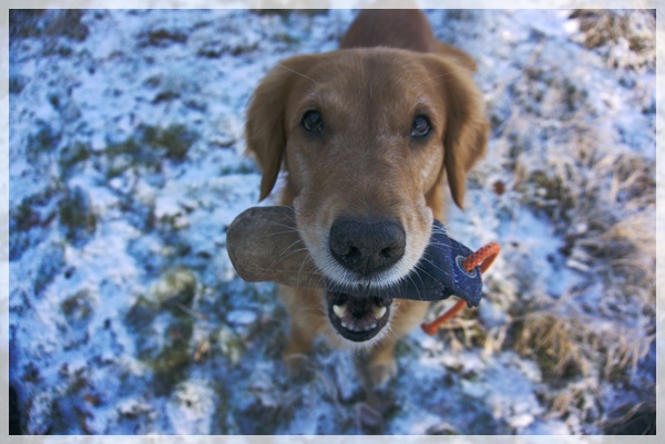 Developed using darktable 2.6.0