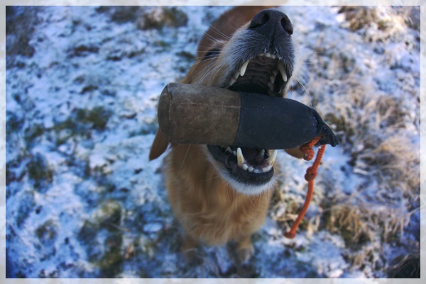 Developed using darktable 2.6.0