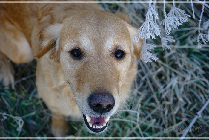 Developed using darktable 2.6.0