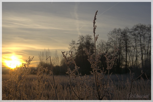 2019_02_17_Landschaft