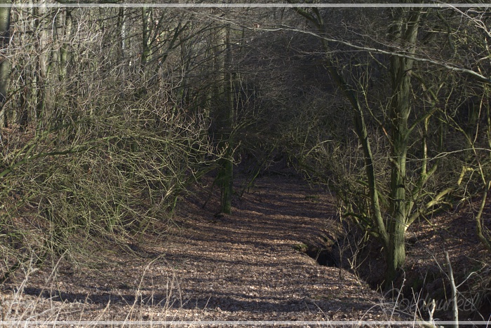 2019_02_17_Landschaft_3