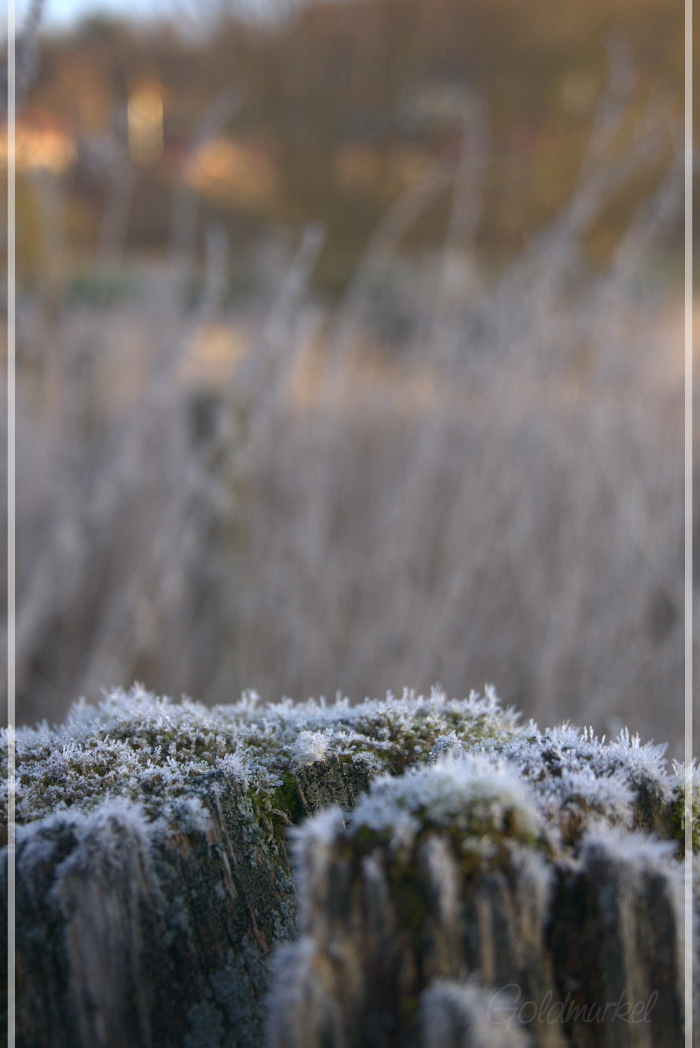 2019_02_17_Landschaft_5