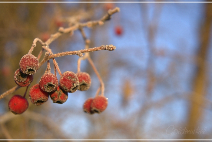 2019_02_17_Landschaft_6