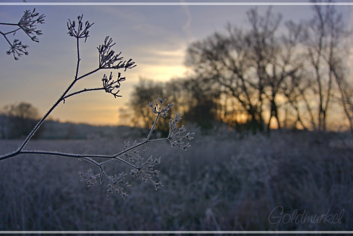 2019_02_17_Landschaft_7