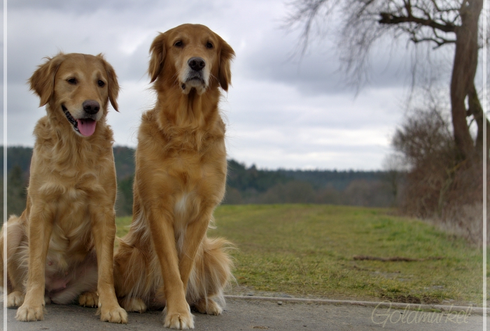 2019_02_22_Fiene_Hetty_01