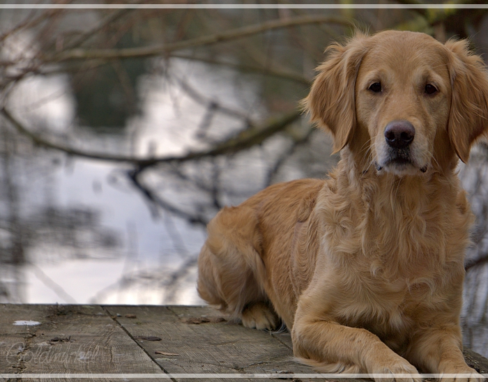 2019_02_22_Fiene_Hetty_02_klein