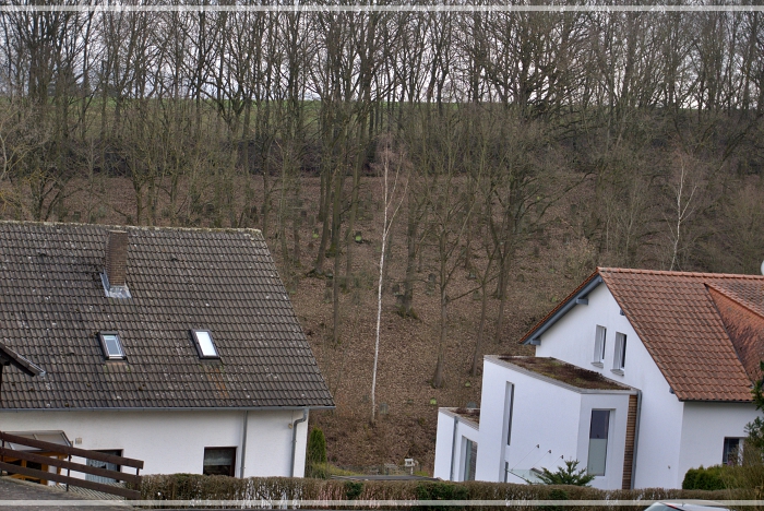 2019_02_28_12telBlick_feb2