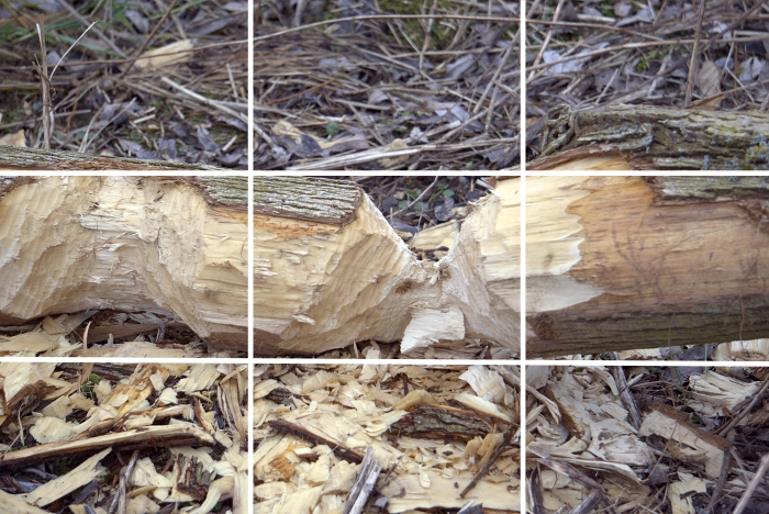 Beispiel_Drittel Regel