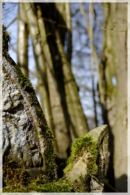 Developed using darktable 2.6.0