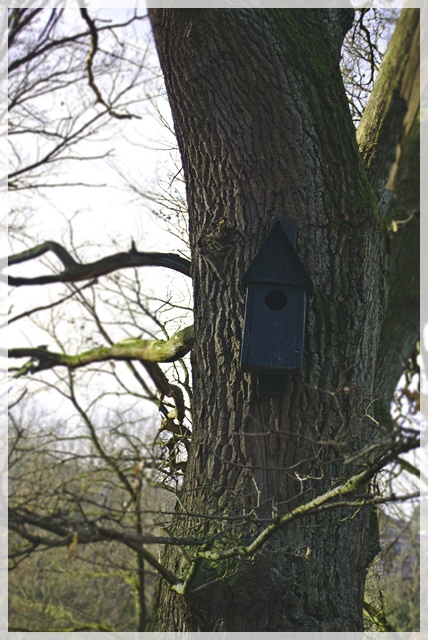 Developed using darktable 2.6.0