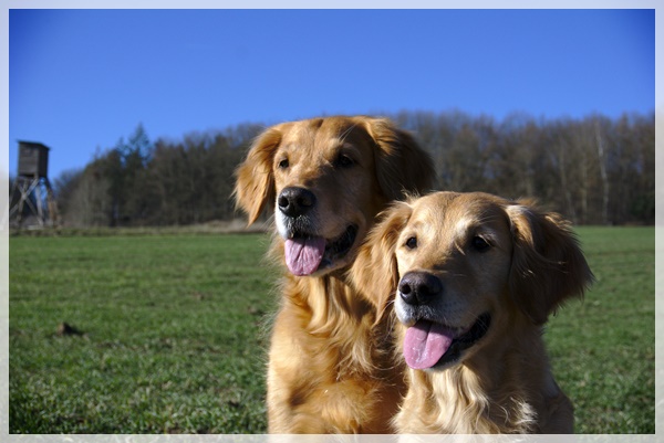 Developed using darktable 2.6.0