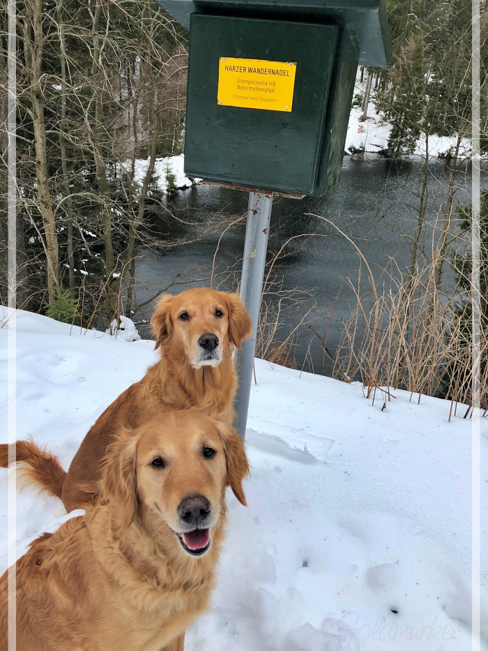 Stempel_Naturmythenpfad