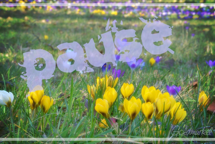 2019_02_27_pause_frühling