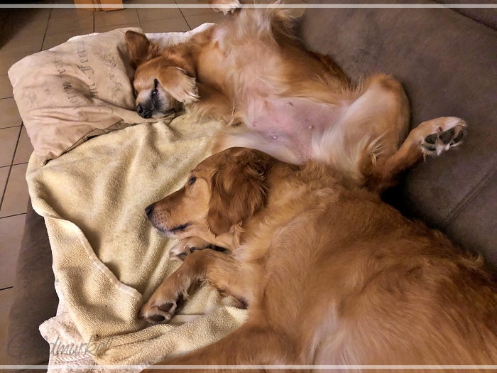 Frühjahrsmüdigkeit