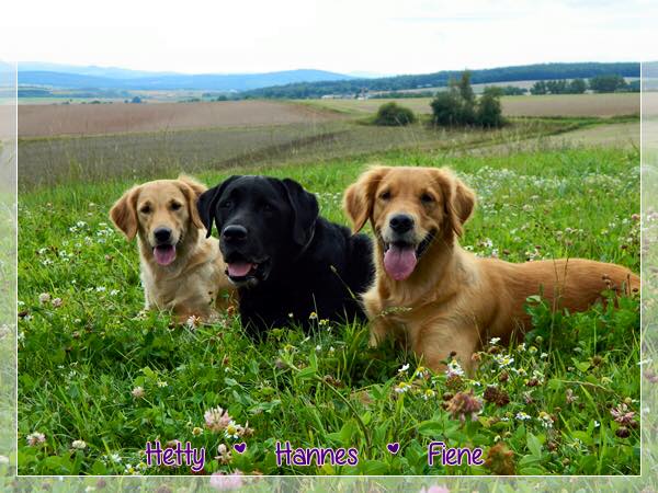 12744421_1087036617983188_2559561139138648997_n