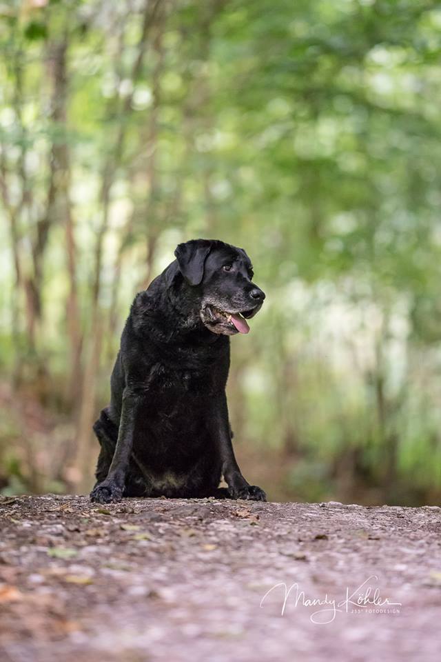 39070688_1949197848433723_2572429116720545792_n