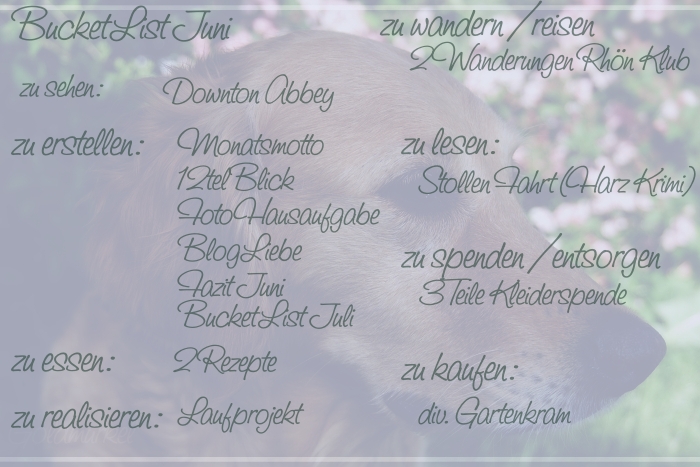 Hetty_1bucketlist_juni