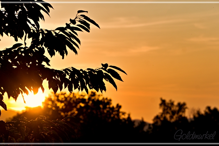 Sonnenaufgang_1