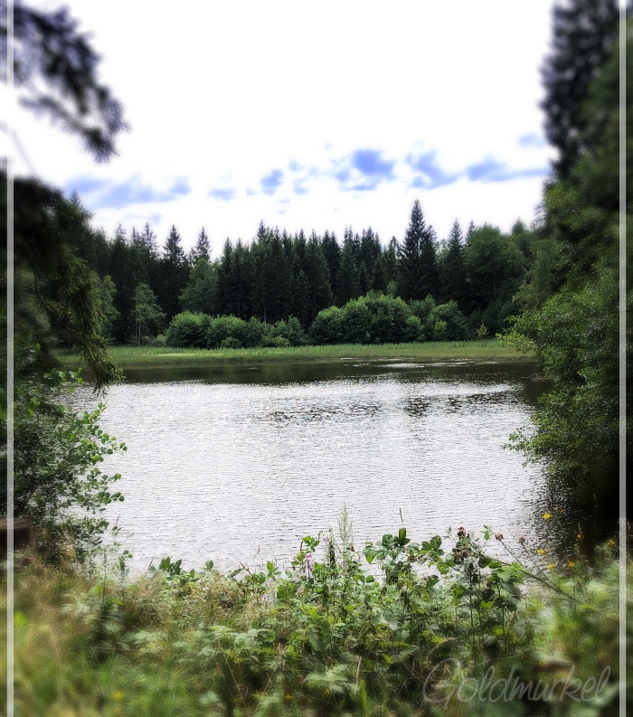 209C774D-4C29-4D3E-AB21-31B3FC6A93F3_image