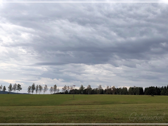 535B34A9-8DDB-4008-B405-E6B2E398567B_image