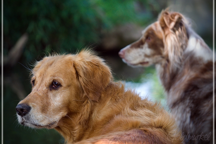 Fiene_Jesper_1_klein