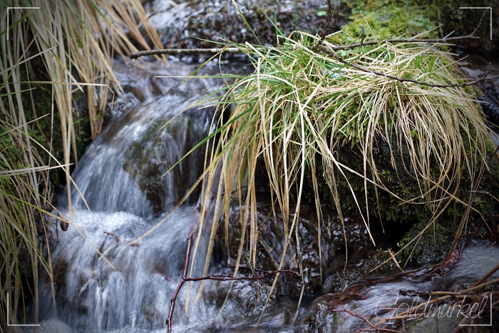 Wasserlauf