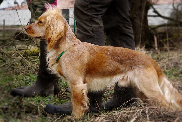 Developed using darktable 2.6.0