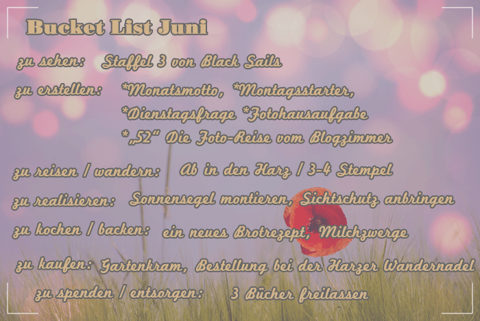 Bucket_List_Juni
