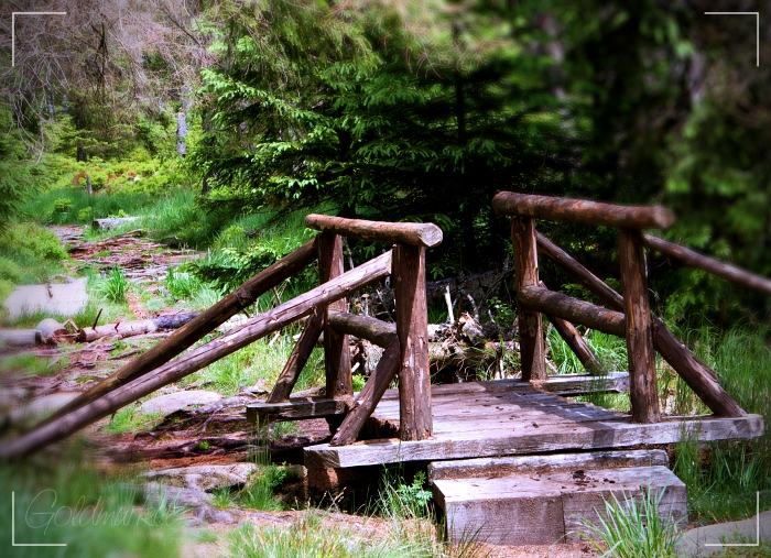 Märchenweg_1