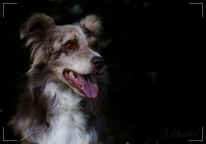 Developed using darktable 2.6.0