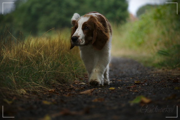 Developed using darktable 2.6.0